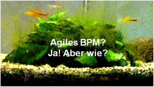 Agiles BPM